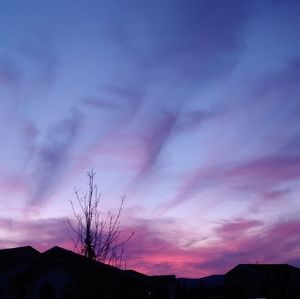 Meet your Posher, Gellie